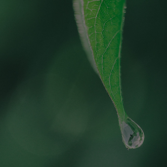 中国·太阳集团tyc86(股份有限公司)-Official website