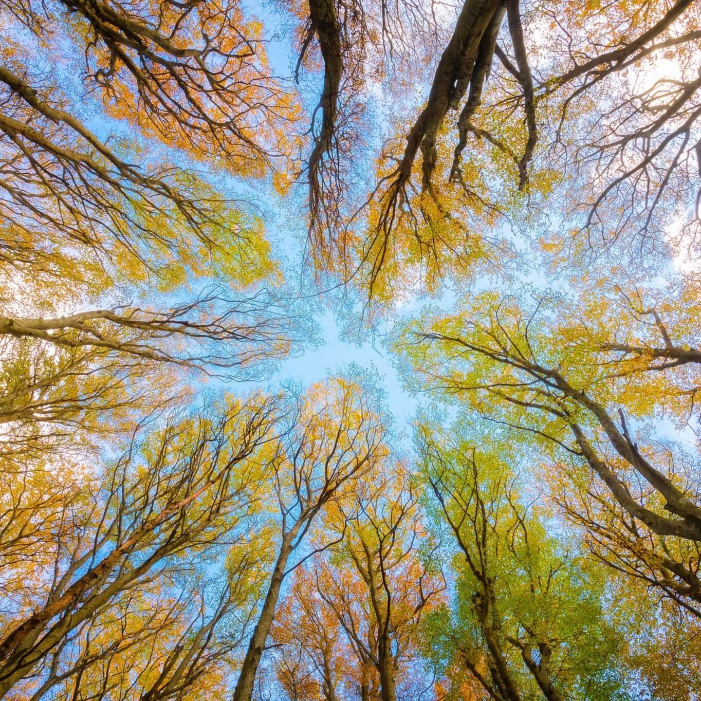 中国·太阳集团tyc86(股份有限公司)-Official website